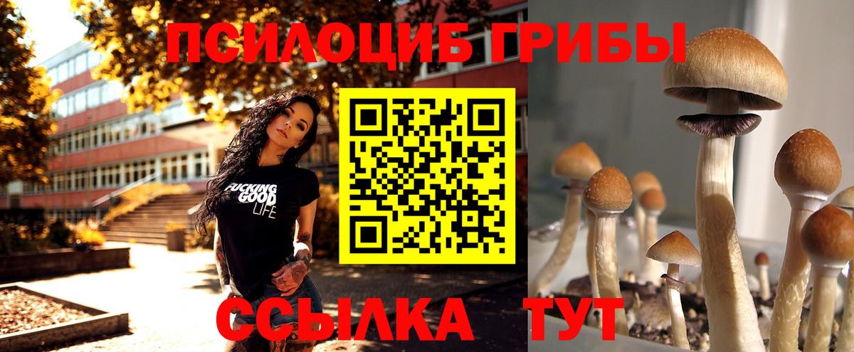 Псилоцибиновые грибы ЛСД Избербаш