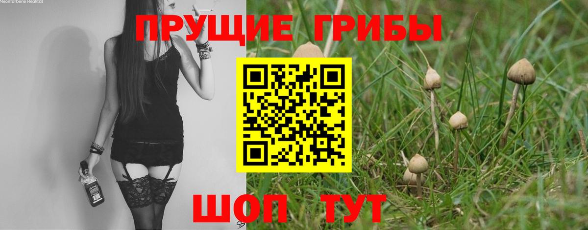 Псилоцибиновые грибы мухоморы  Вход с VPN  Избербаш  Галлюциногенные грибы GOLDEN TEACHER 