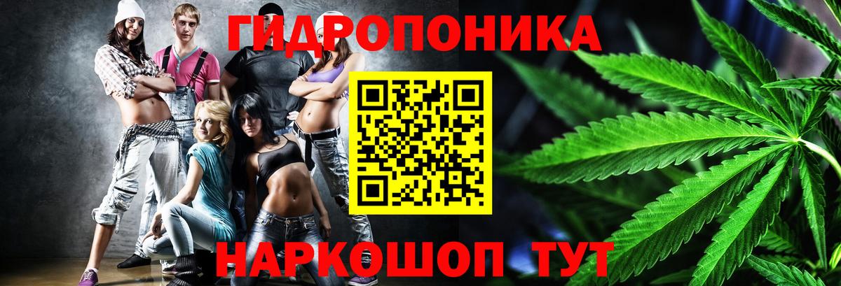 Каннабис марихуана  МАРИХУАНА ГИДРОПОН  Избербаш  Каннабис планчик  Канабис семена  Вход с VPN 